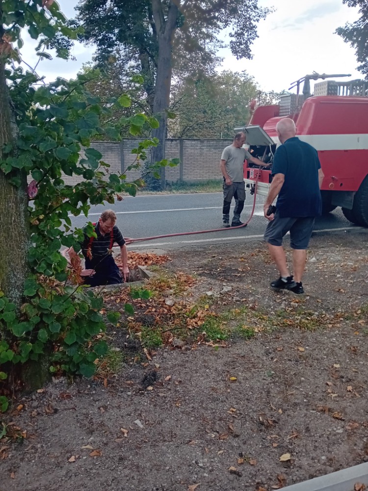 IMG-20250905-WA0015